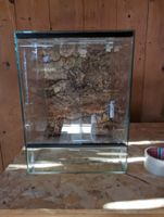Kleines Glas Terrarium 30x30x40cm