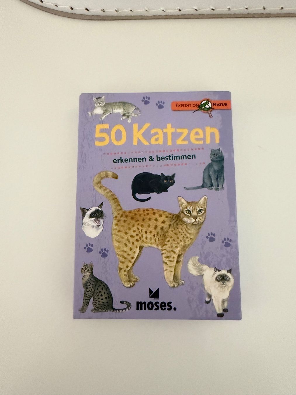 Giochi: Rätsel und erkennen Karten – Usato da Lohn SH venduto da mathea 4