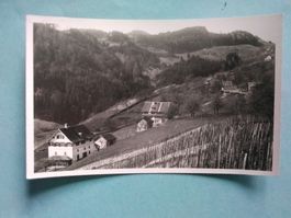 SG Berneck-Hausen Rebberge Rheintal 1942