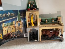 LEGO Harry Potter Set: Begegnung mit Fluffy ab 1 Fr. 🪉
