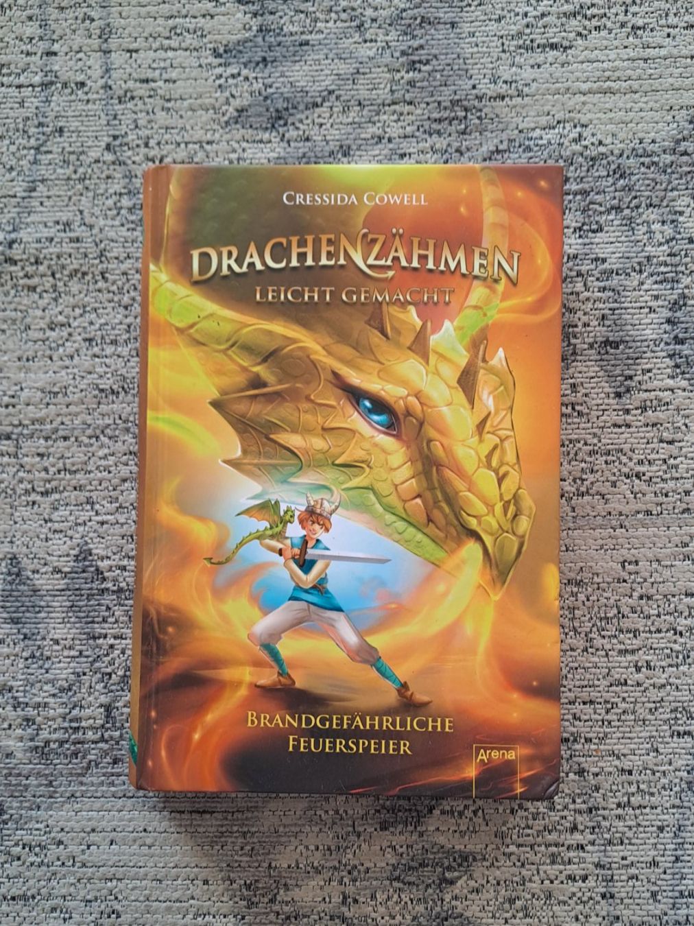 Libri: Drachen zähmen leicht gemacht Buch – Usato da Zürich venduto da mili021