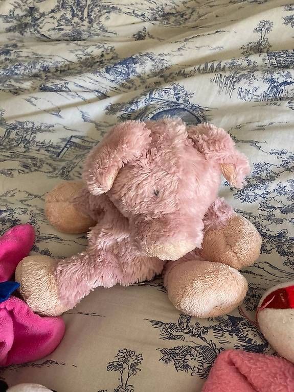 Giocattoli: Collection de peluches – Usato da Genève venduto da sbo_ks28 1