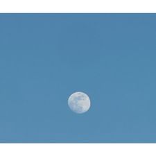 Profile image of inf_88wn
