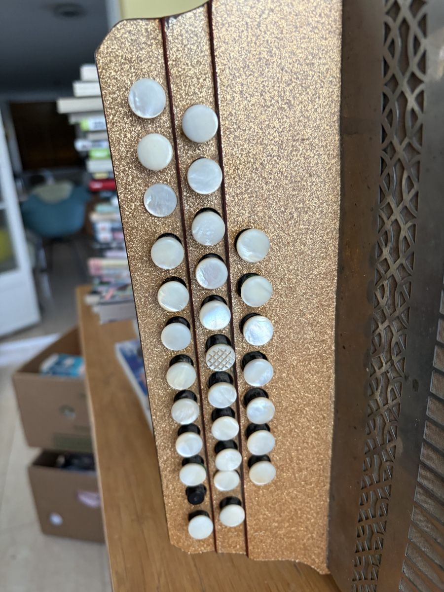 Hohner Strumenti musicali: Accordéon Hohner Organola  – Usato da Echallens venduto da JAR69 4