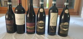 6 ältere Weine aus dem Veneto (Amarone/Ripasso) L10
