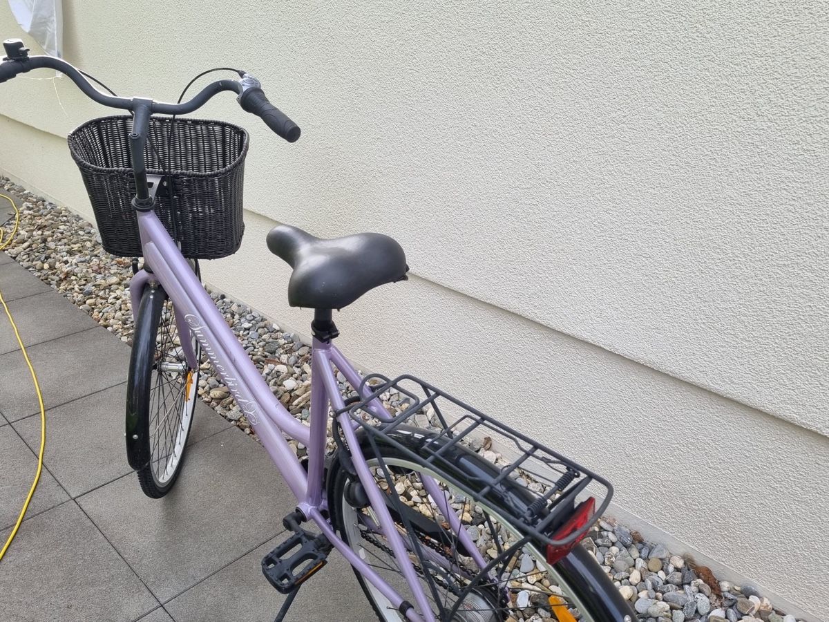 Biciclette: Fahrrad – Usato da Grabs venduto da pat_qt5b 3