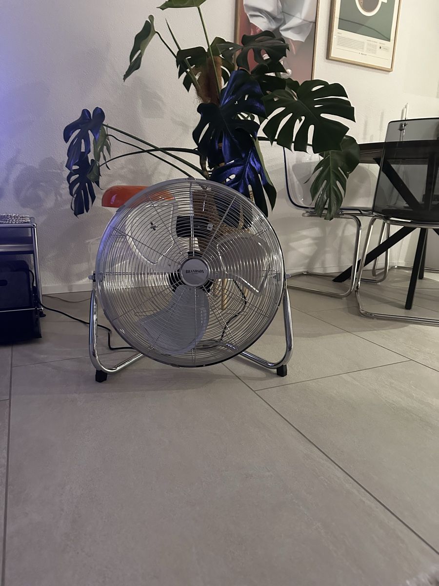 Ventilateurs: Ventilator Brandson Windmaschine – Neuf (Voir description) à Obfelden par KatarinaKrs 2