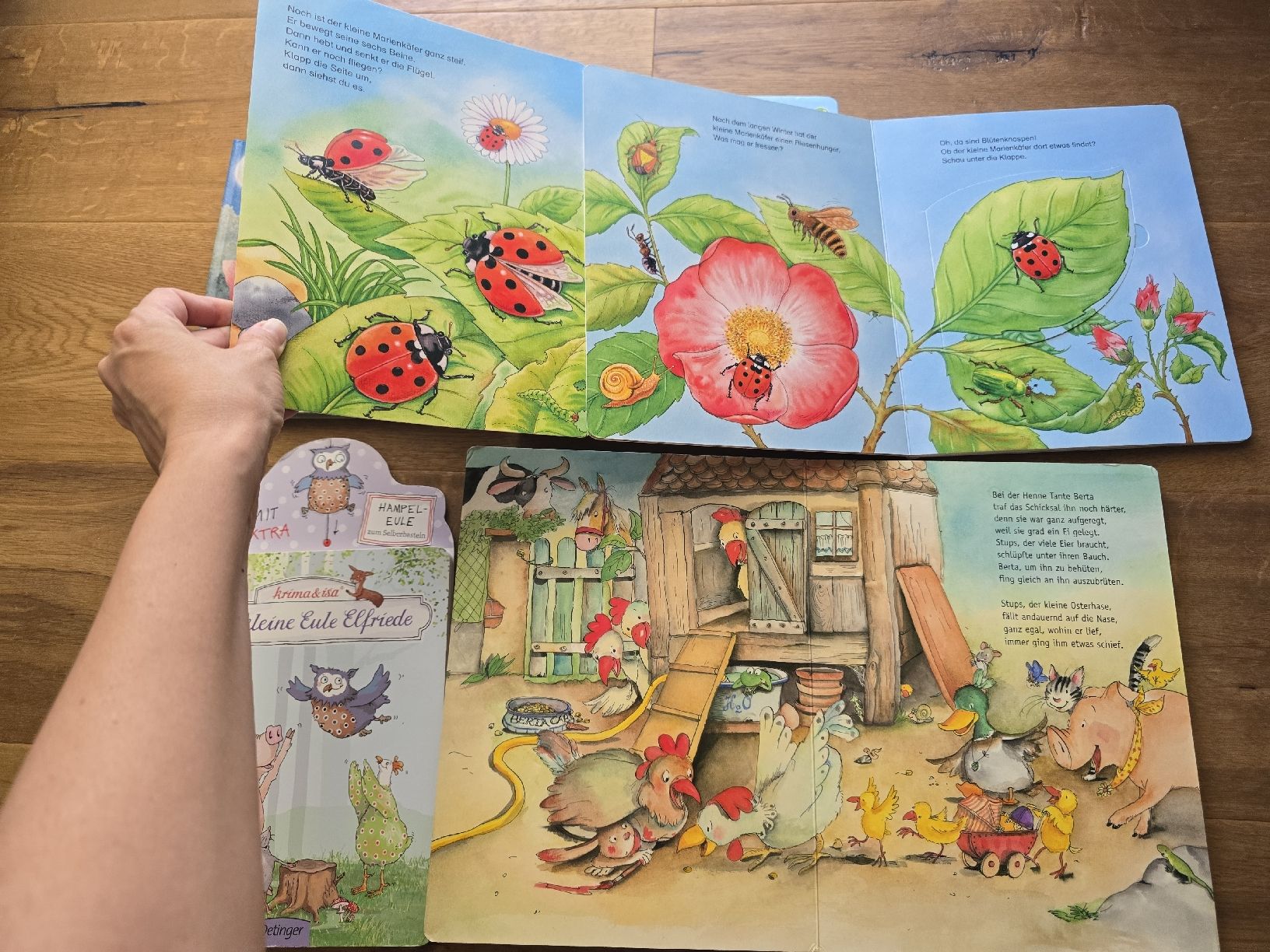 Libri: Kinderbuch Set 6 Stck set  guter Zustand – Usato da Wittenbach venduto da Tigerlili 2