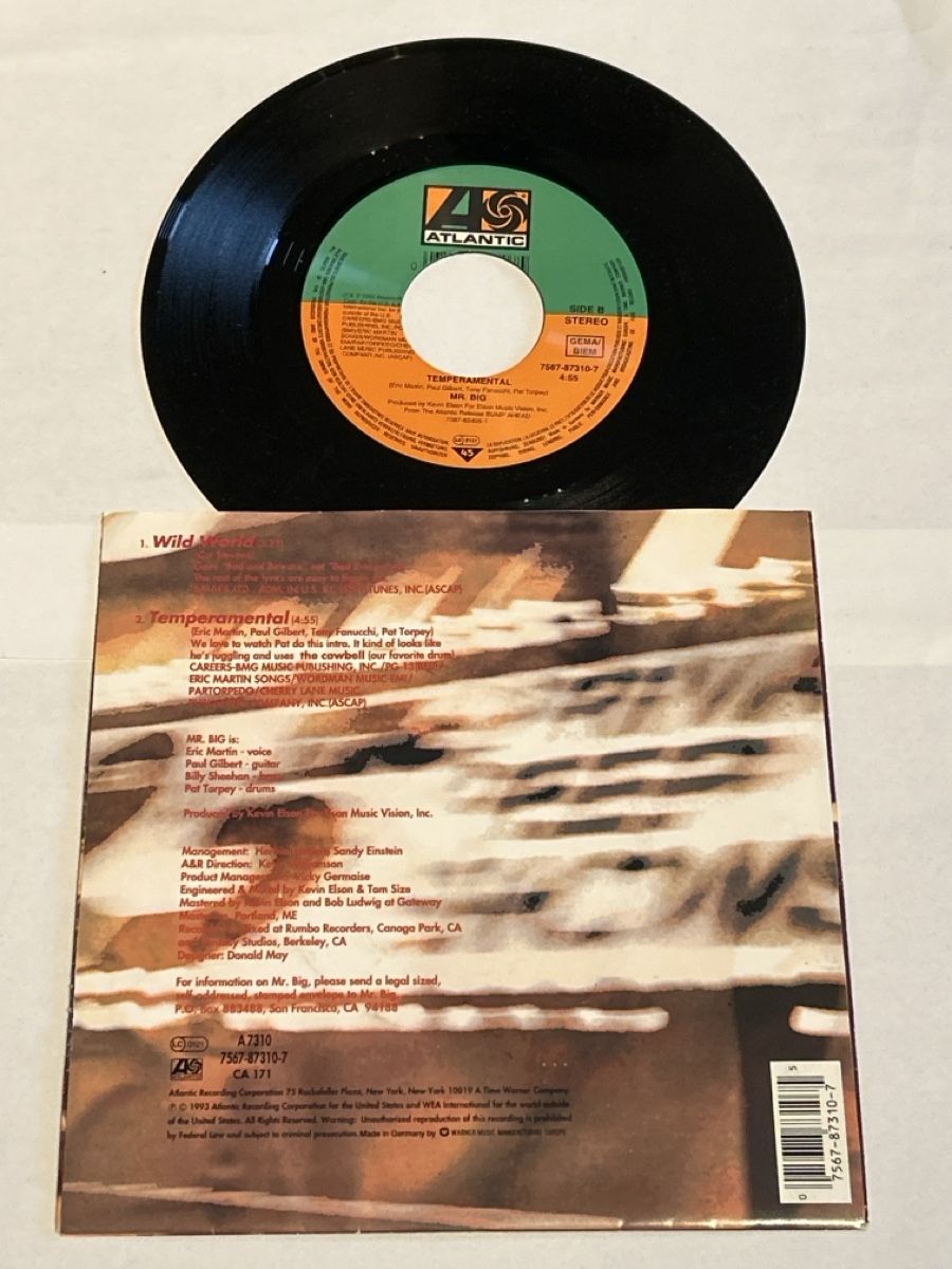 Dischi in vinile: MR. BIG. 1993. Wild World – Usato da Faulensee venduto da Mizuno06 1