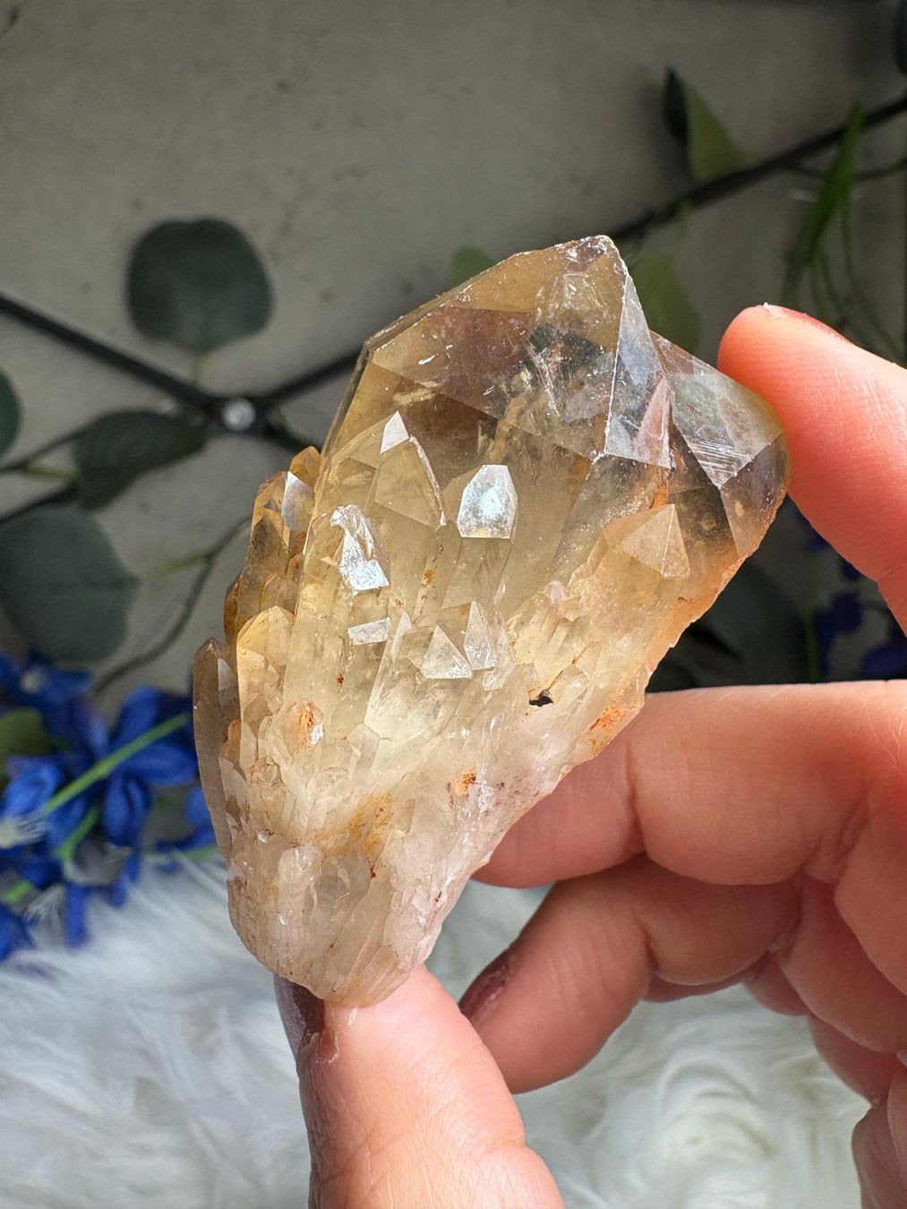 Minerali & Pietre curative: Kundalini Citrin Cluster mit Phantom – Nuovo (secondo la descrizione) da Neuheim venduto da m.hald 2