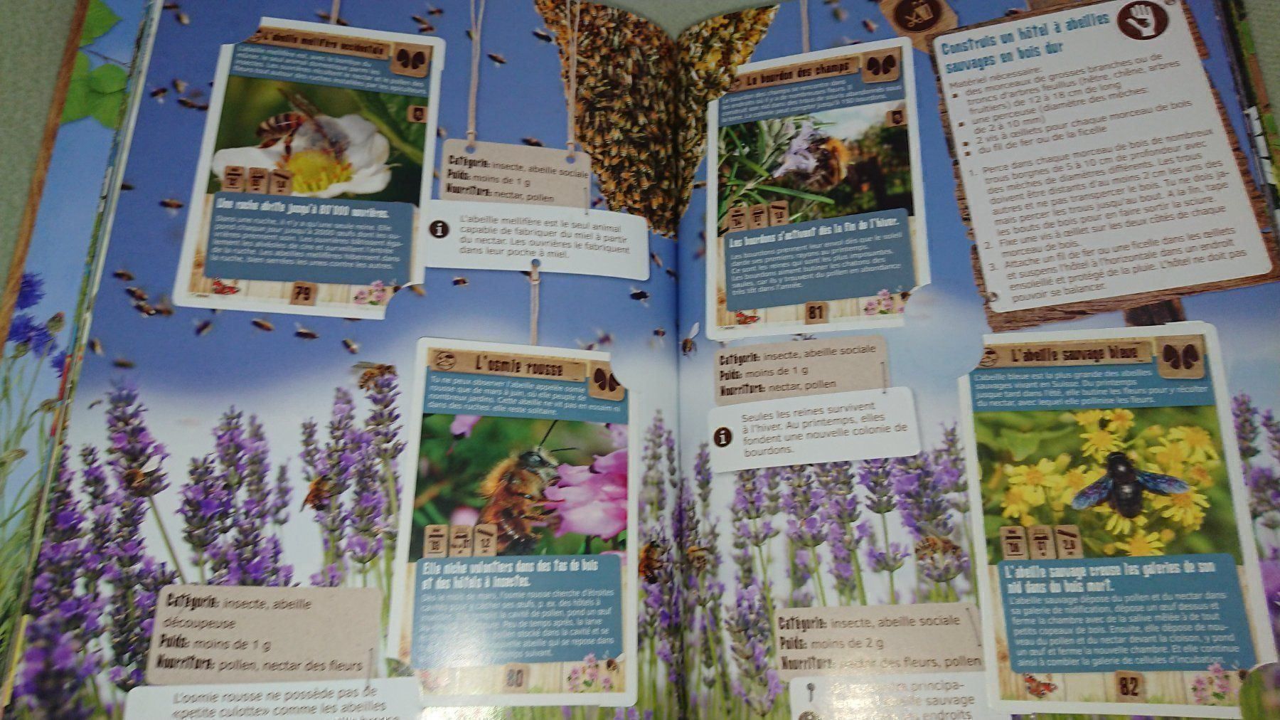 Libri: Le Jardin Quelle Aventure – Usato da Cortaillod venduto da signep 3
