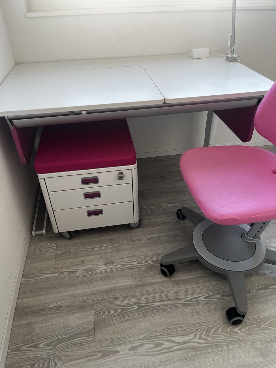 Bureaux: Moll Champion Compact  – D'occasion à Weinfelden par Marco035 2