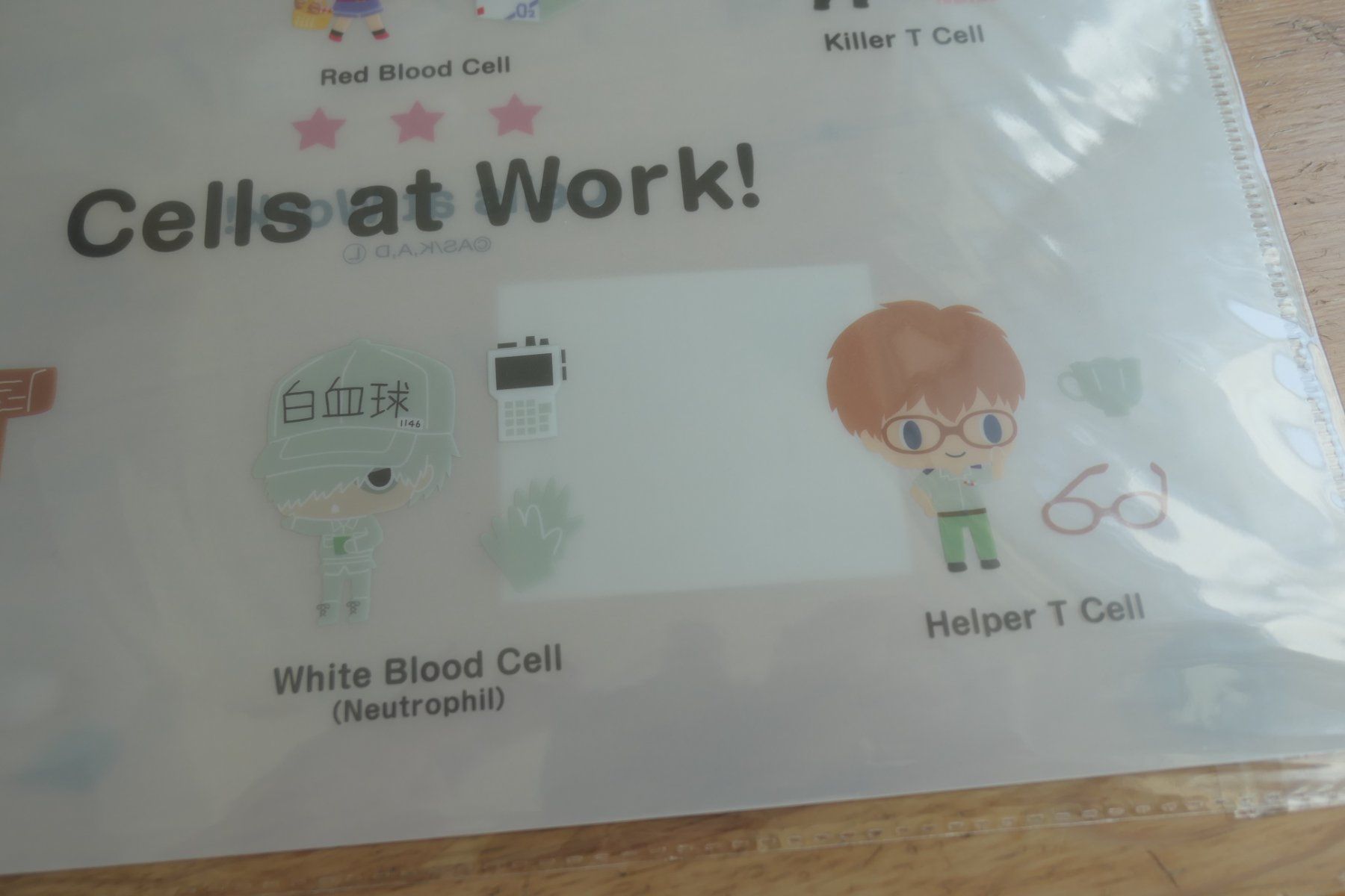 Figuren: Cells at Work Anime - Clear File Mäppli – Neu (gemäss Beschreibung) aus Ettiswil von maimaiswiss 3
