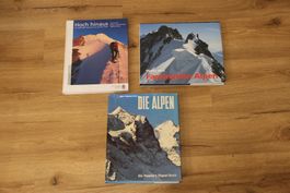 Sammlung Nachschlagewerke Schweizer Alpen