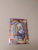 Christian Pulisic ,  Rainbow Limited edition 