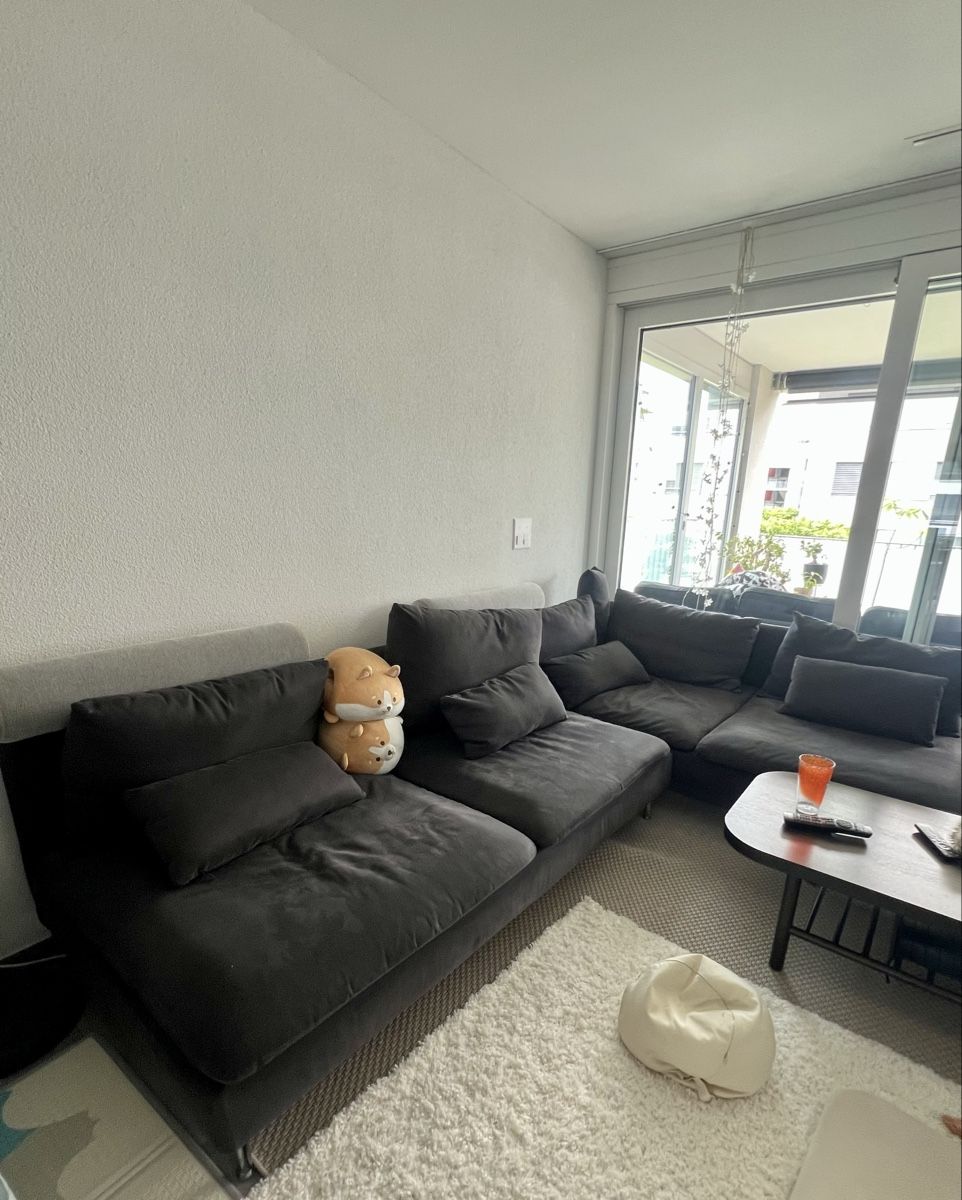 Divani: IKEA SOFA – Usato da Glattpark(Opfikon) venduto da ket_gq77 1