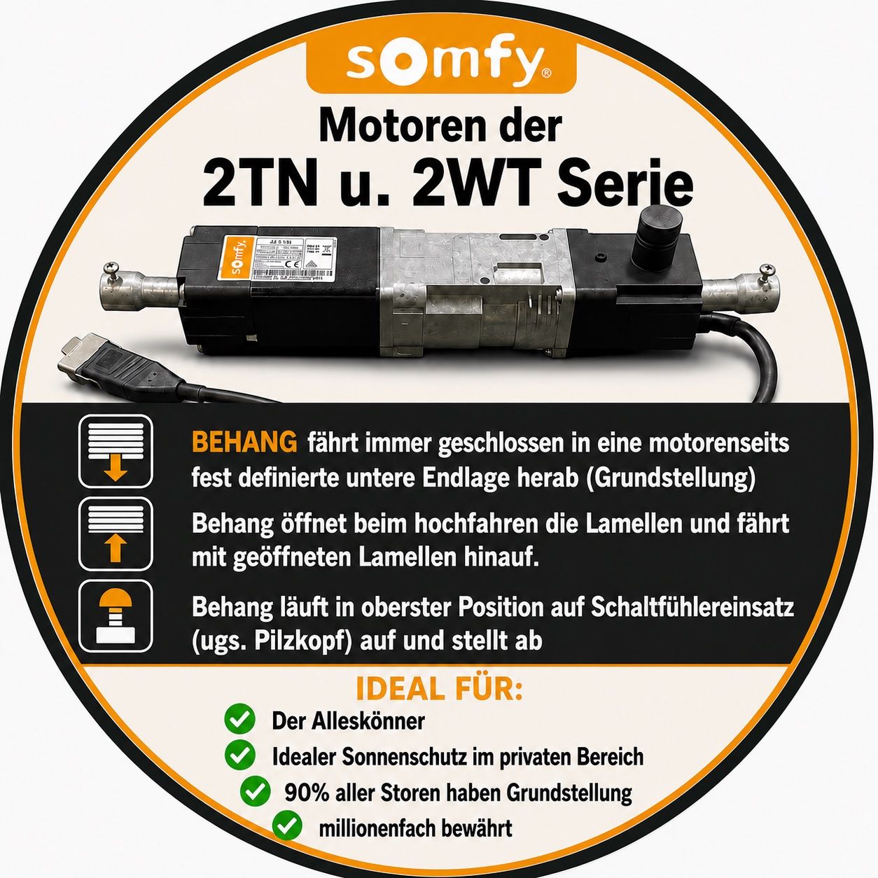 Somfy Tende da sole: Somfy J418 2WT absolute Neuware Storen Motor – Nuovo e nell'imballaggio originale da Zürich venduto da Shalashaska 2