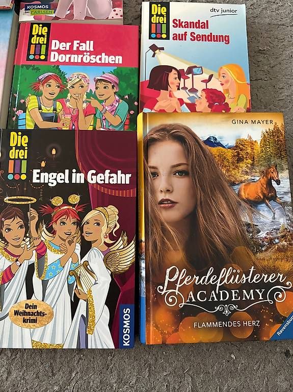 Libri: Tolle Jugendbücher – Usato da allschwil venduto da sophie141208 2