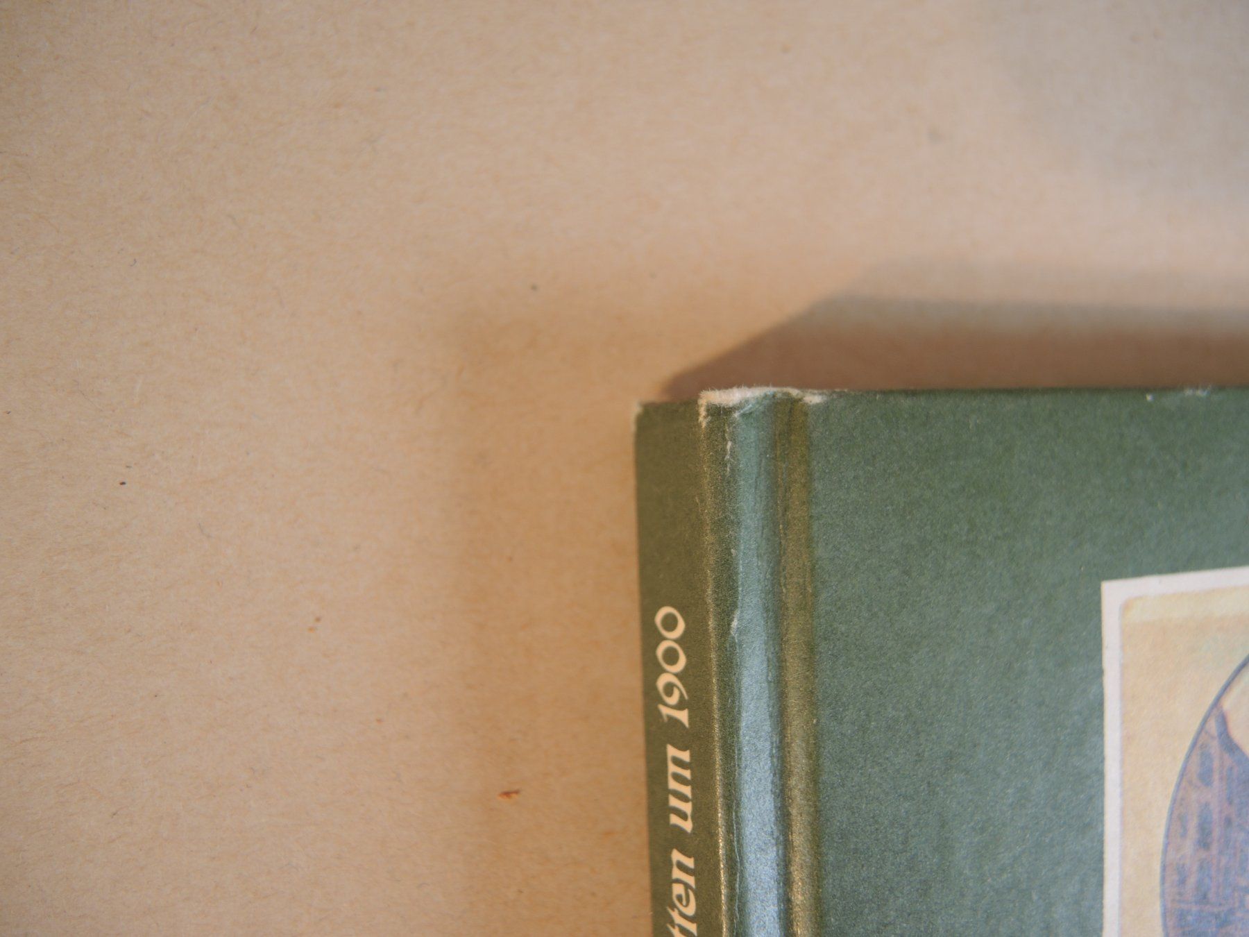 Libri: Altstätten um 1900 : 105 Ansichtskarten Weber Heiden – Usato da Rorschach venduto da maeck8 7