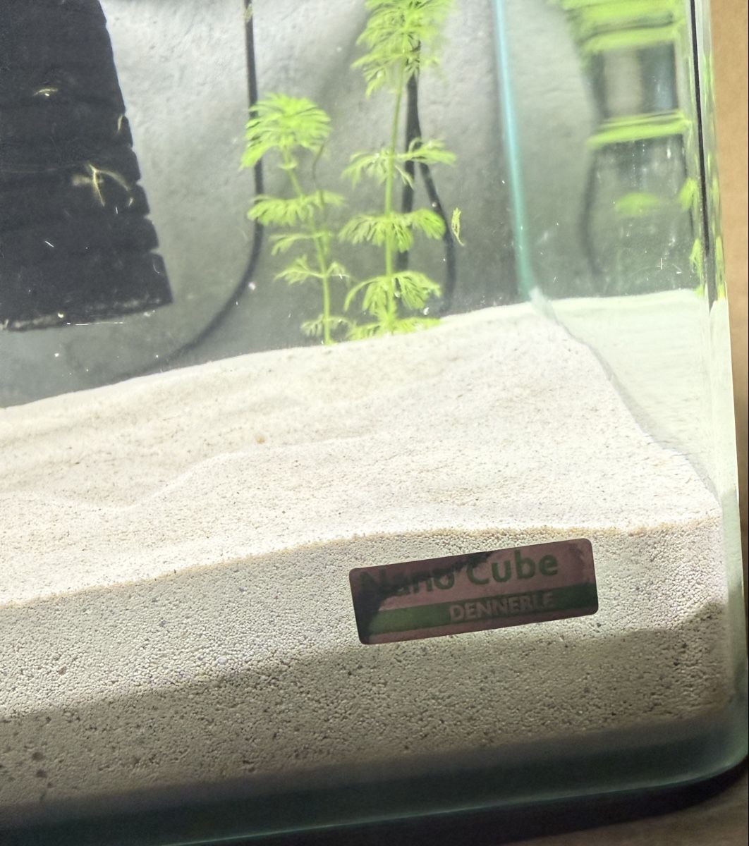 Aquarium: Nano Cube Dennerle 60L Aquarium – Gebraucht aus Winterthur von Lati85