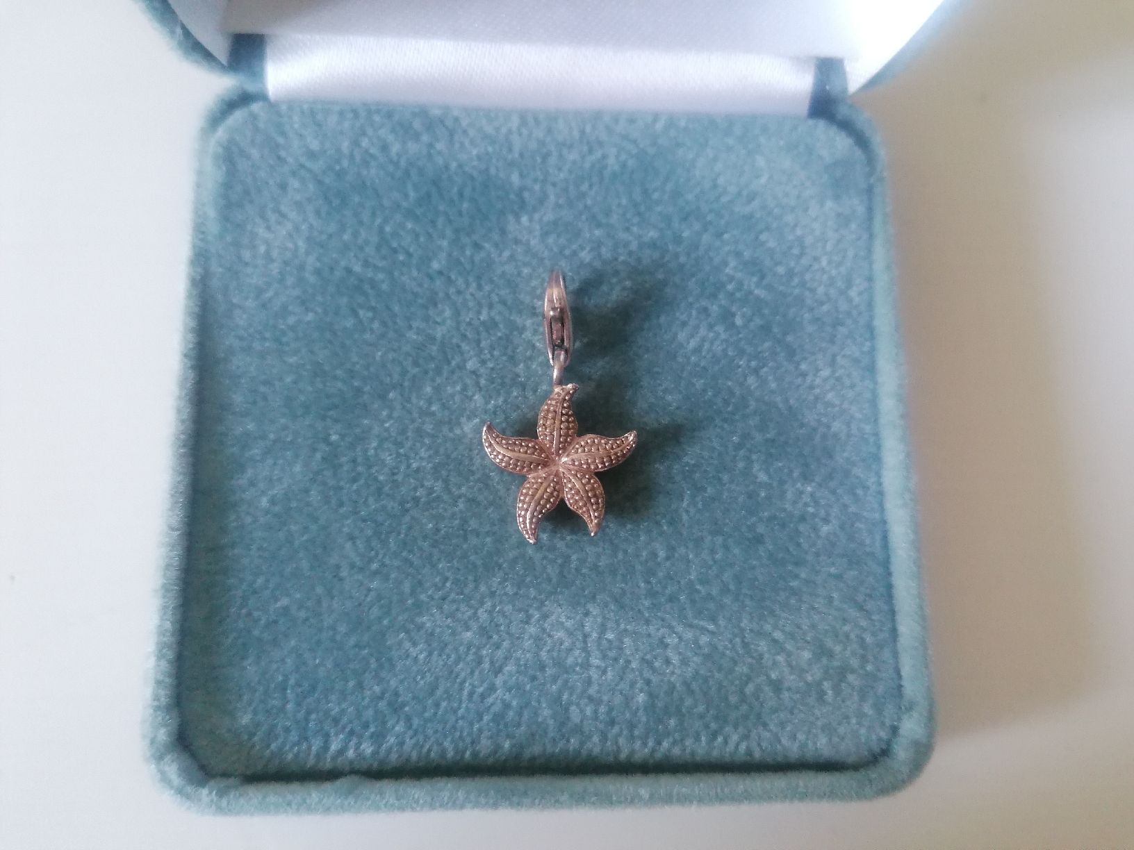 Thomas Sabo Ciondoli: Thomas Sabo Seestern Charm Anhänger Silber – Usato da Zürich venduto da Kassandra2