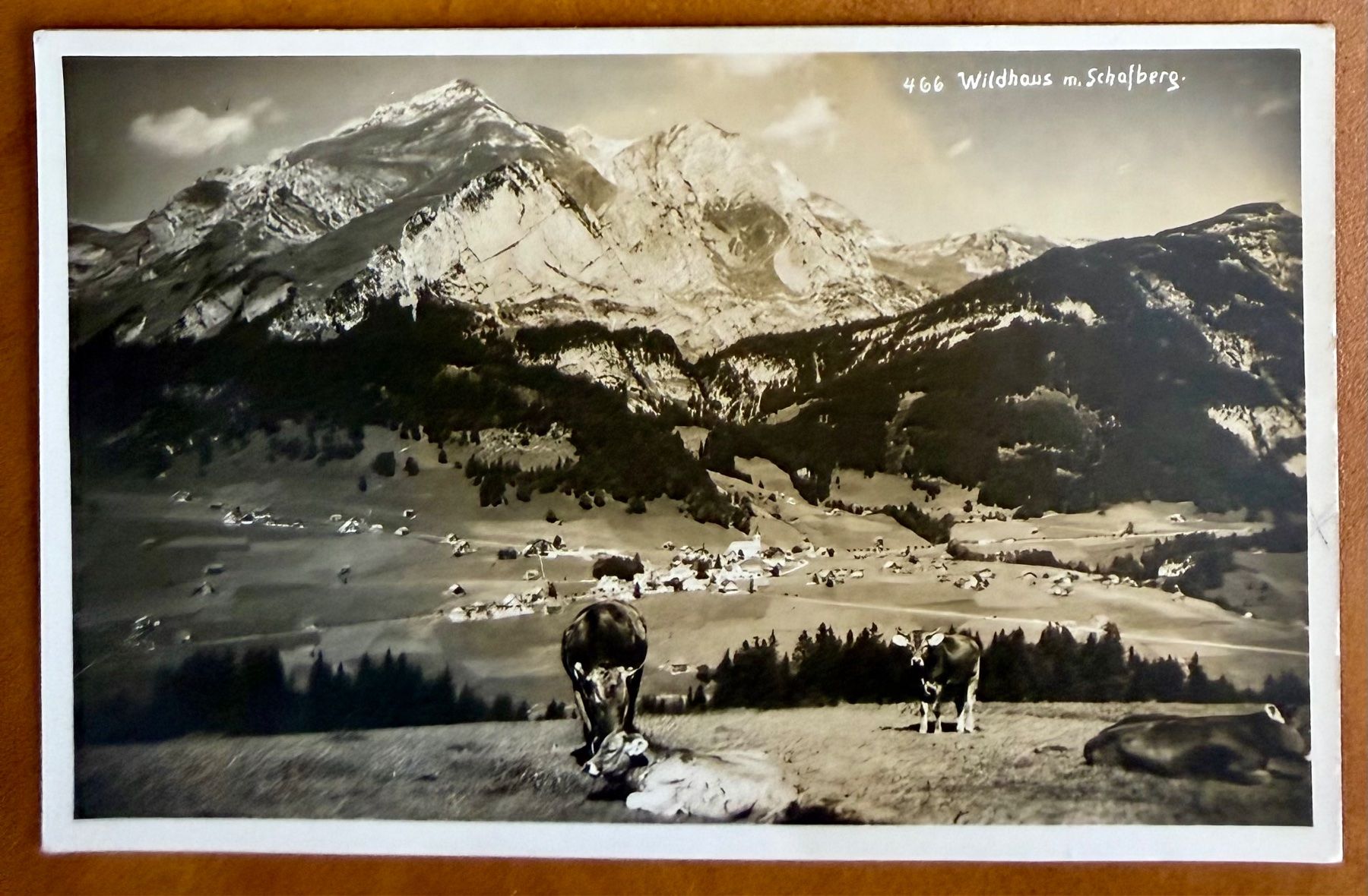 Cartoline postali: Wildhaus - Schafberg mit Kühe 1935 – Usato da Lutry venduto da Ediego