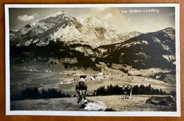 Wildhaus - Schafberg mit Kühe 1935