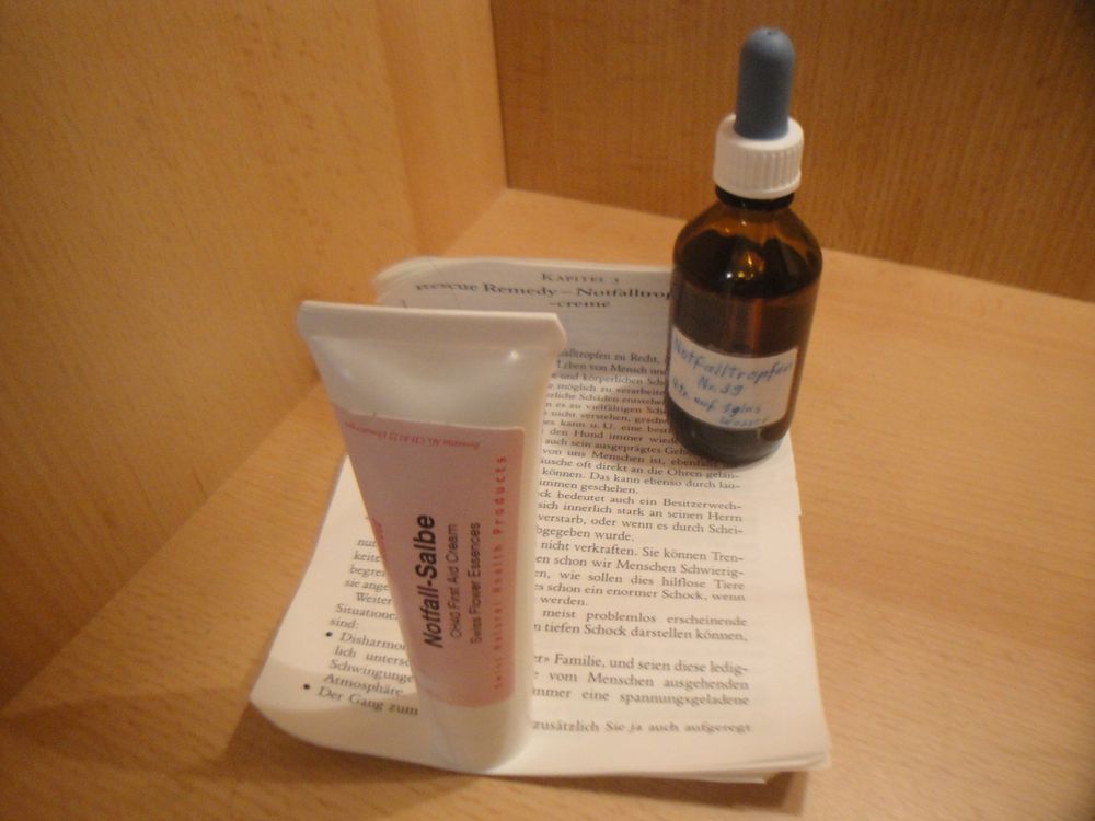 Zuasdvnk Capybara Lenkerfigur - Wackelkopf Capybara Für Motorrad & Fahrrad Lenker