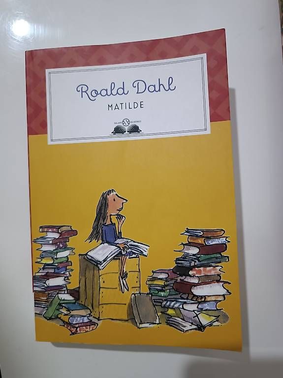 Livres: Vendo libro Matilde – D'occasion à Pregassona par Paolinhaaa88