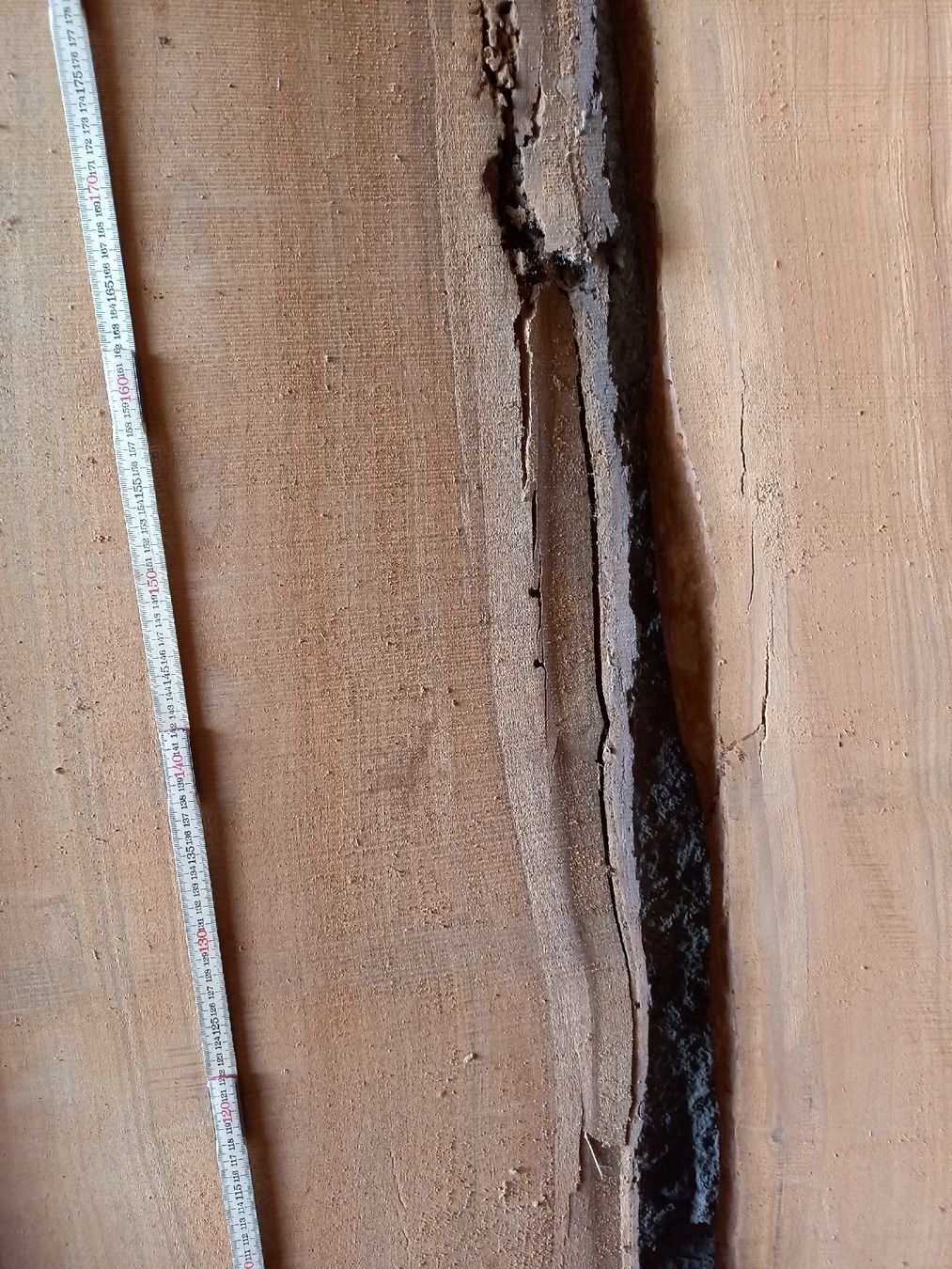 Holzartikel: Kirschbaum Klotzbretter  – Neu (gemäss Beschreibung) aus Thierachern von Gari76 7