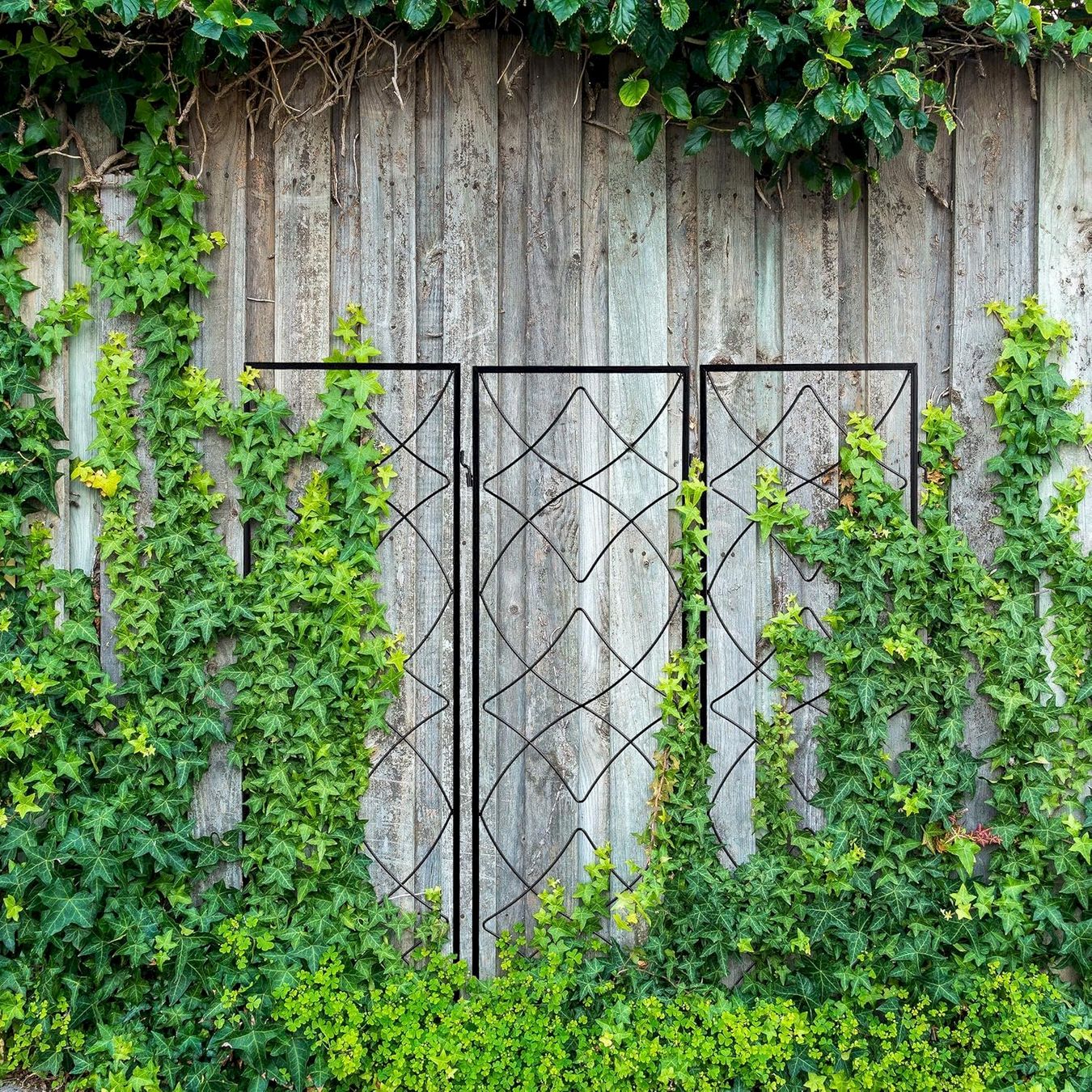 Altre Decorazioni per giardino: 9x Rankgitter 122x31x1cm – Nuovo e nell'imballaggio originale da Bottighofen venduto da zaap 2