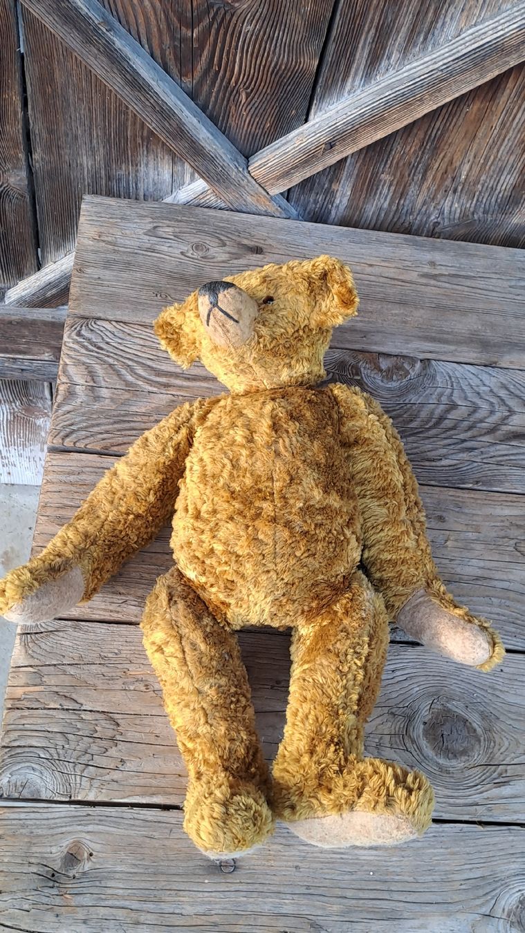 Giocattoli: Schöner alter Teddybär 50cm geweglich – Usato da schönholzerswilen venduto da Vistapoint 2