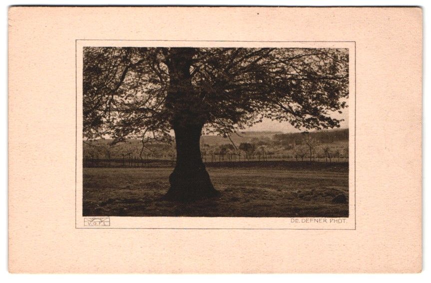 Fotografie & Manifesti: Fotografie Adalbert Defner, Ort unbekann – Usato da Berlin venduto da bartko-reher