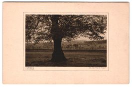Fotografie Adalbert Defner, Ort unbekann