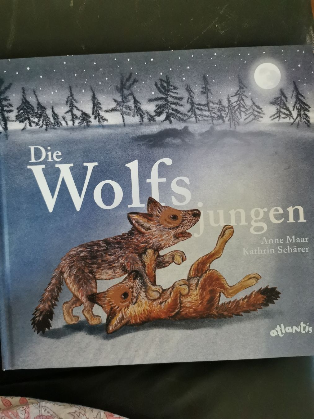 Bücher: Die Wolfsjungen A. Maar K. Schärer – Neu (gemäss Beschreibung) aus Riehen von LaurJer