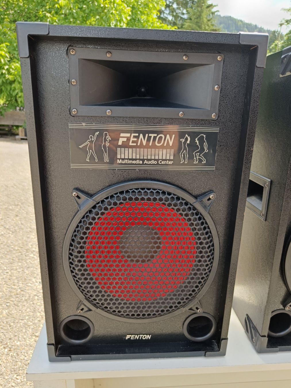 Lautsprecher: Fenton SPA1200 Multimedia Speaker 12" – EU Stecker – Gebraucht aus Hinwil von Kathya02 1