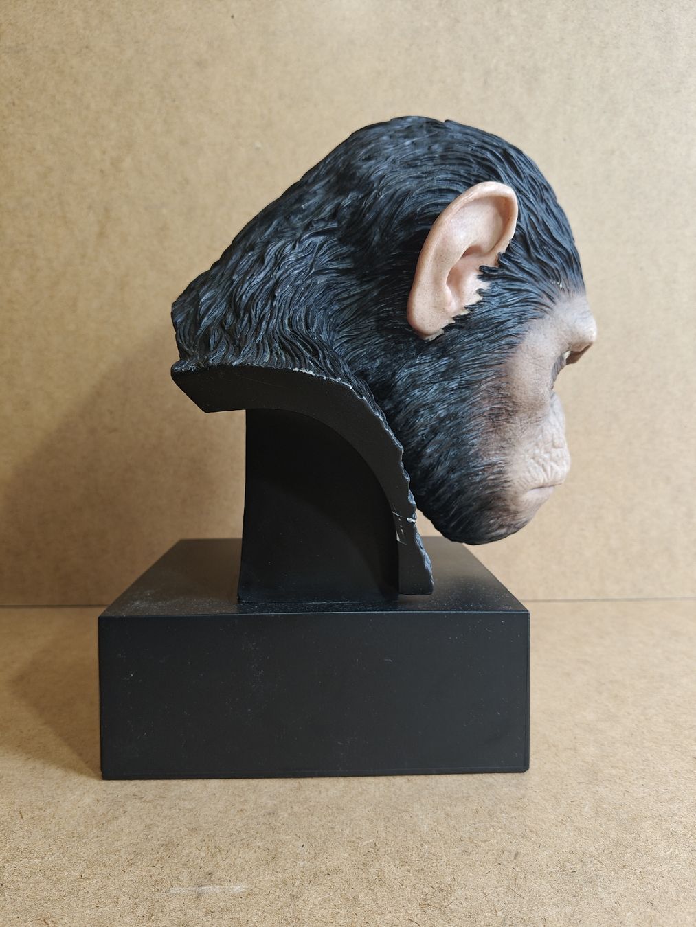 Statuette: Planet der Affen Büste mit integriertem Schubfach – Usato da Luzern venduto da MWi_9xw5 1