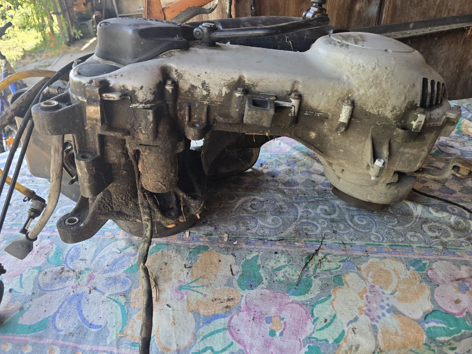 Piaggio Mofa-Ersatzteile: Piaggio Free Motor  – Gebraucht aus Aarberg von 2002stefan 3