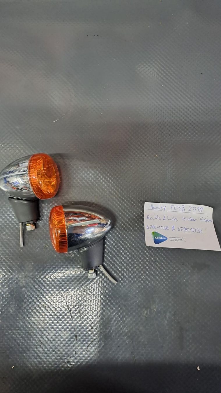 Harley-Davidson Tutti i ricambio per moto: Harley Davidson Blinker – Usato da Alpnach Dorf venduto da HD-Girl