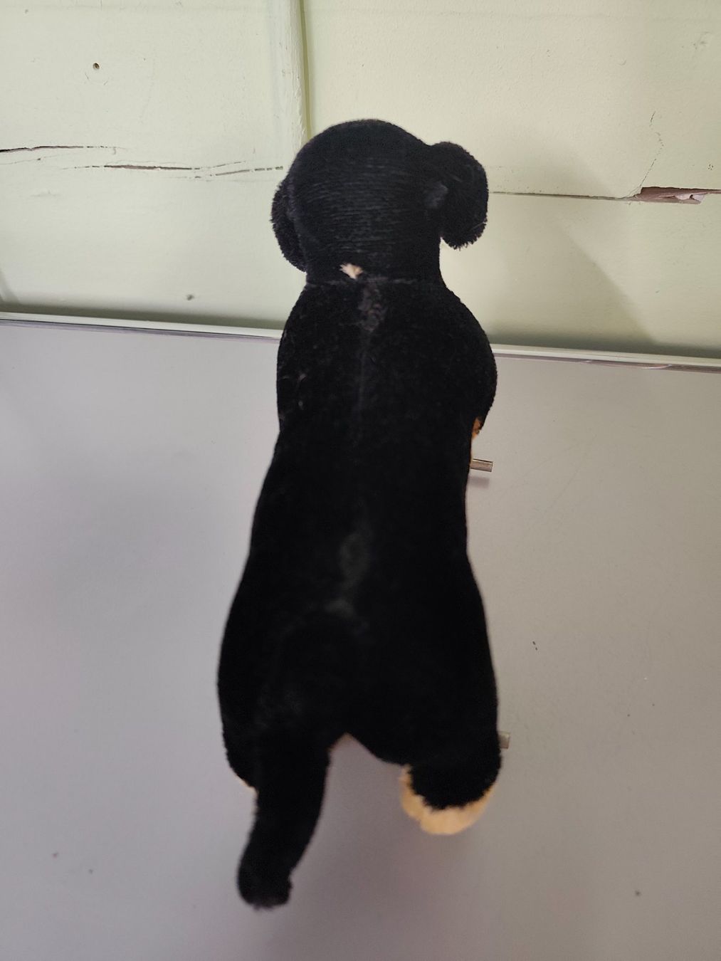 Steiff Giocattoli: Stofftier Steiff Dackel Hund – Usato da Goldswil b. Interlaken venduto da troedlermarkt-goldsw 3