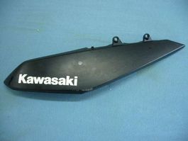 Kawasaki Z1000 / 2011 Kühlerabdeckung li