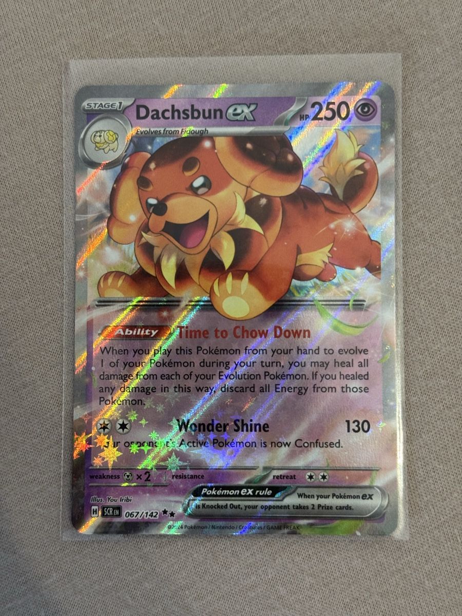 Pokémon Carte collezionabili: Pokémon Dachsbun ex 067/142 Stellar Crown – Nuovo (secondo la descrizione) da St. Gallen venduto da Xbylucas
