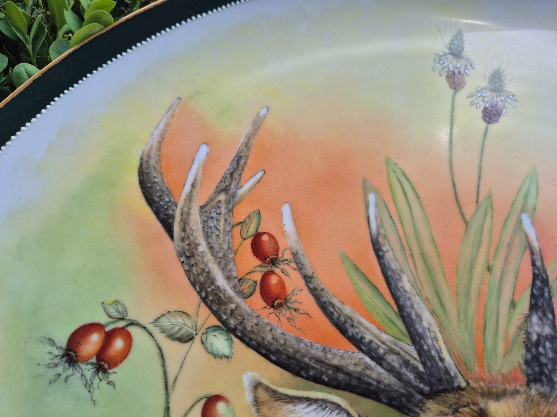 Piatti: Wunderschönes, einmaliges Hirsch-Motiv, handbemalt – Nuovo e nell'imballaggio originale da Thun venduto da tinu2031 3