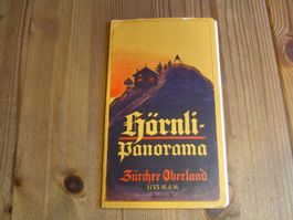 Antike Karte Hörnli Panorama ZH Oberland