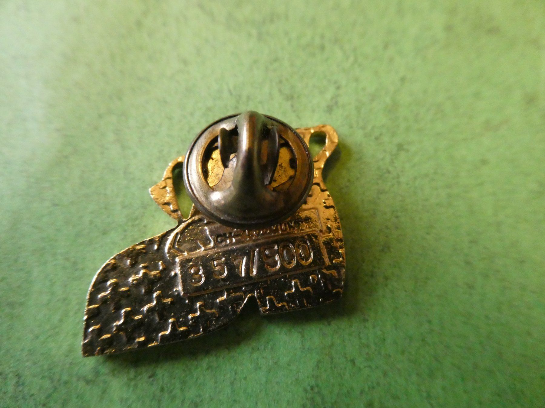 Placchette & Badge: Wandergruppe Rorschach, vergoldeter Pin – Usato da Hinterforst venduto da Rohusri 1