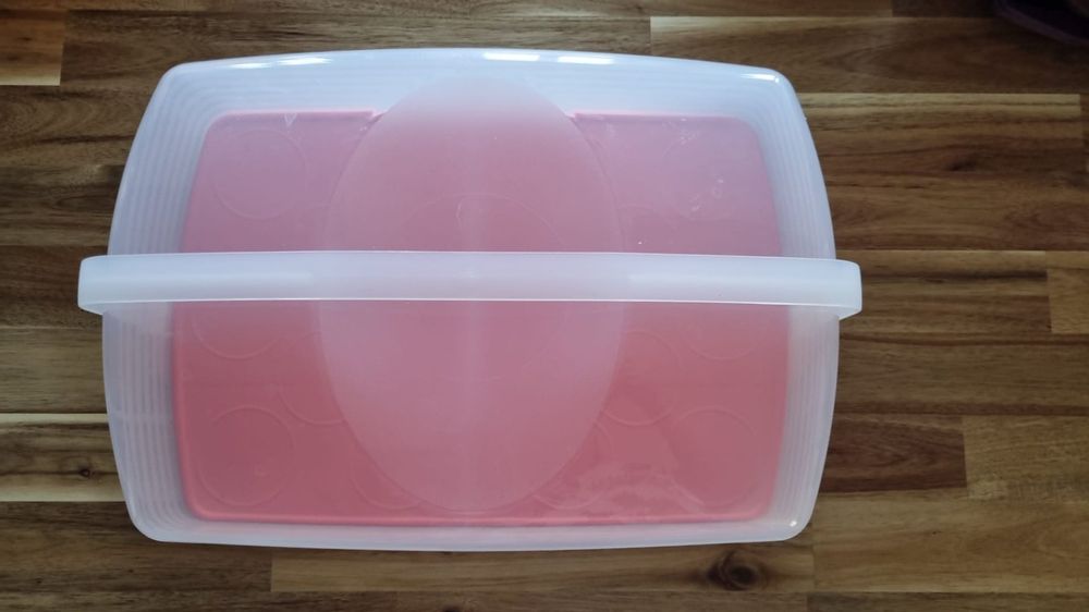 Porte gâteau rectangulaire tupperware | Kaufen auf Ricardo