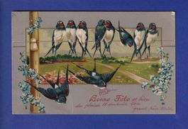 OISEAU - Hirondelles // pli //