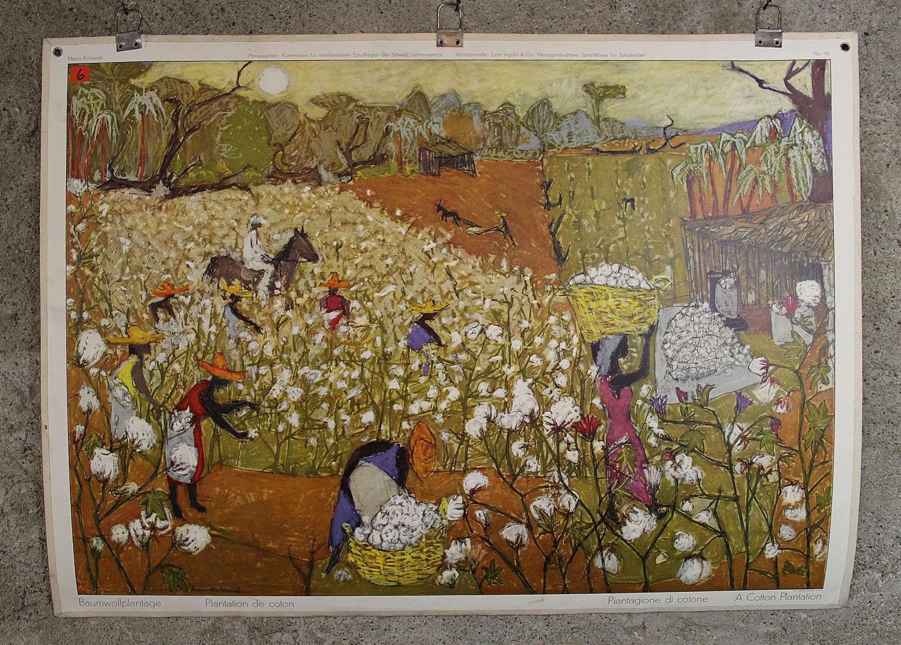 Poster & Bilder: Schulwandbild "Baumwollplantage" – Gebraucht aus Birrwil von brandschatz_birrwil 1