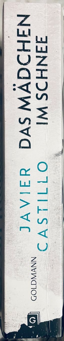 Libri: DAS MÄDCHEN IM SCHNEE - JAVIER CASTILLO - TASCHENBUCH – Nuovo (secondo la descrizione) da Buchs AG venduto da fischli610 2
