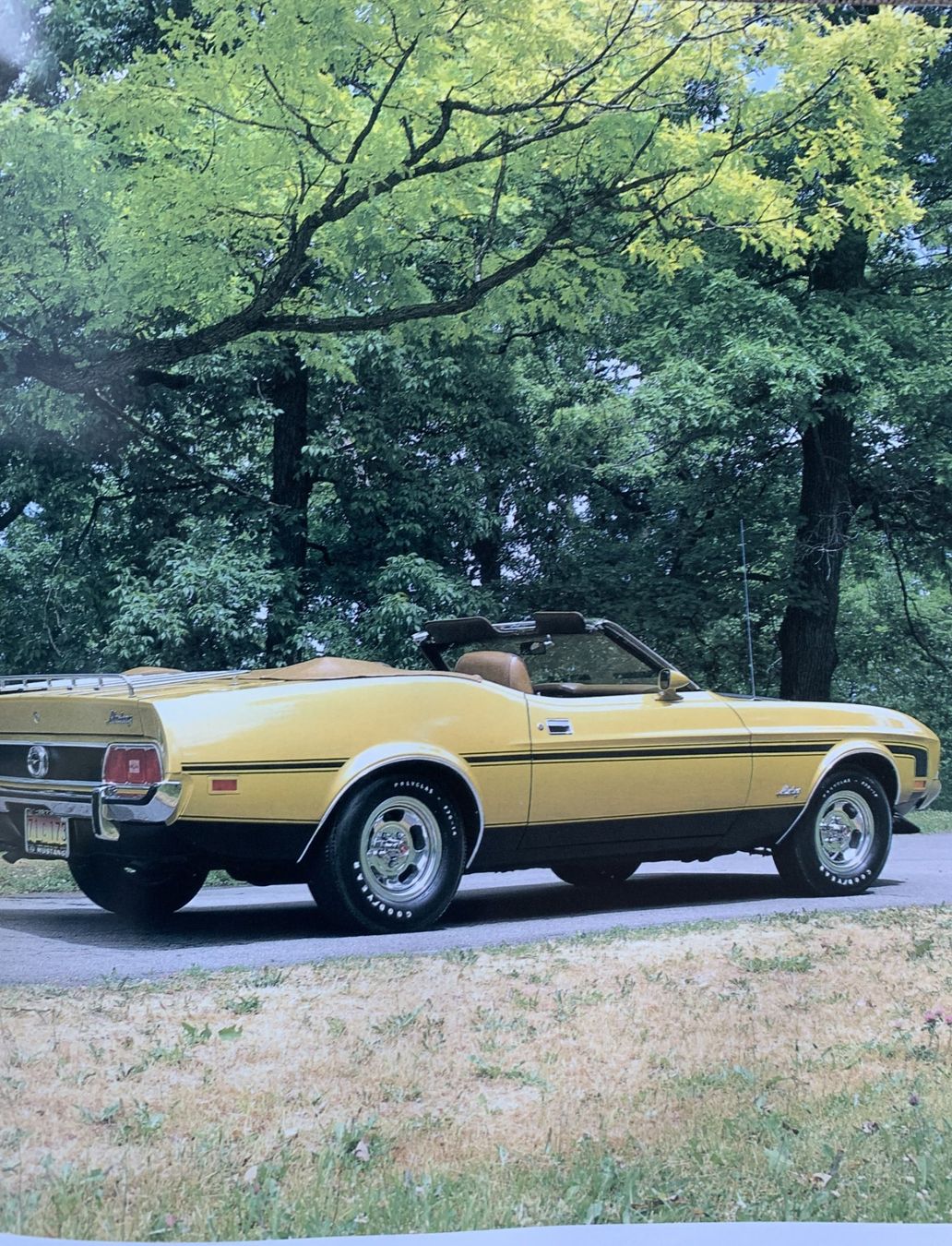 Libri: Buch Ford Mustang – Usato da Ebnat-Kappel venduto da pourlemerite 2